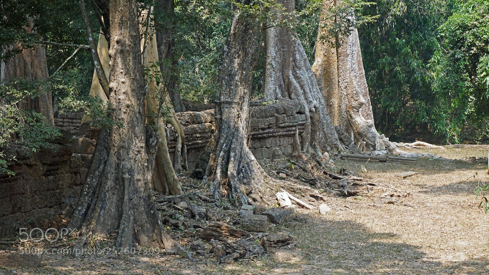 Sony a6000 sample photo. Ankor wat temple complex photography