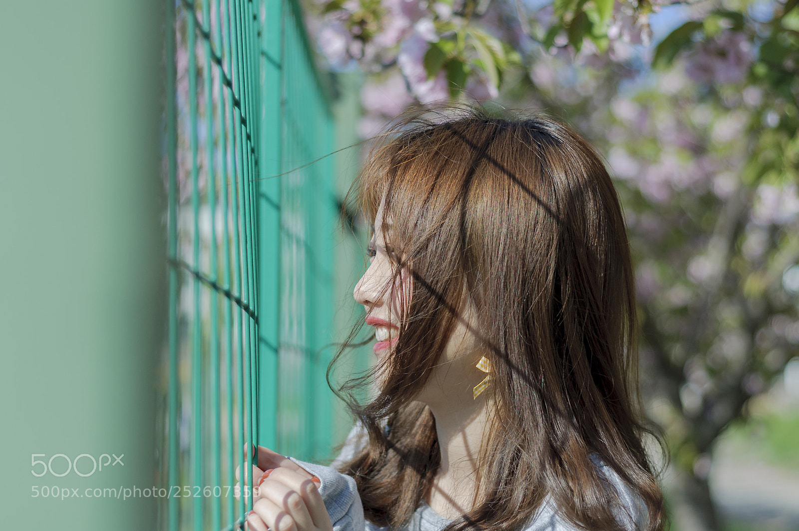 Nikon D90 sample photo. Untitled photography