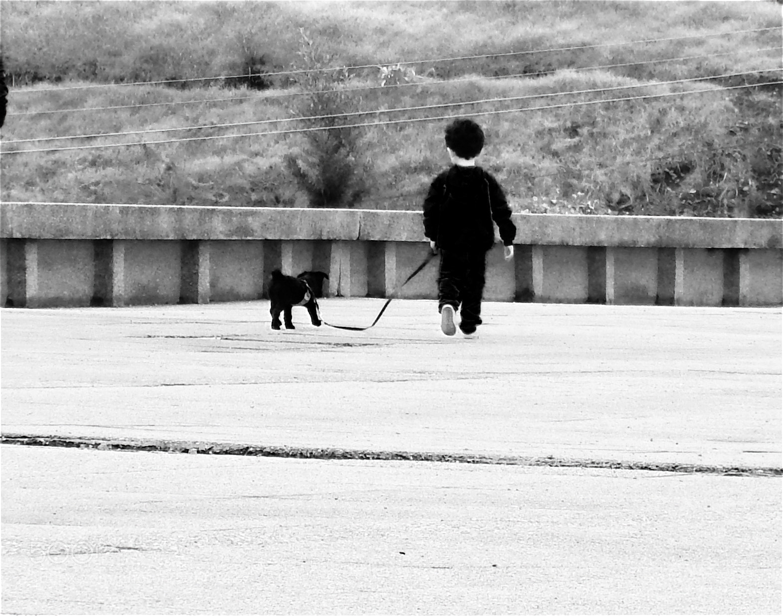 Nikon Coolpix L820 sample photo. A great walk photography