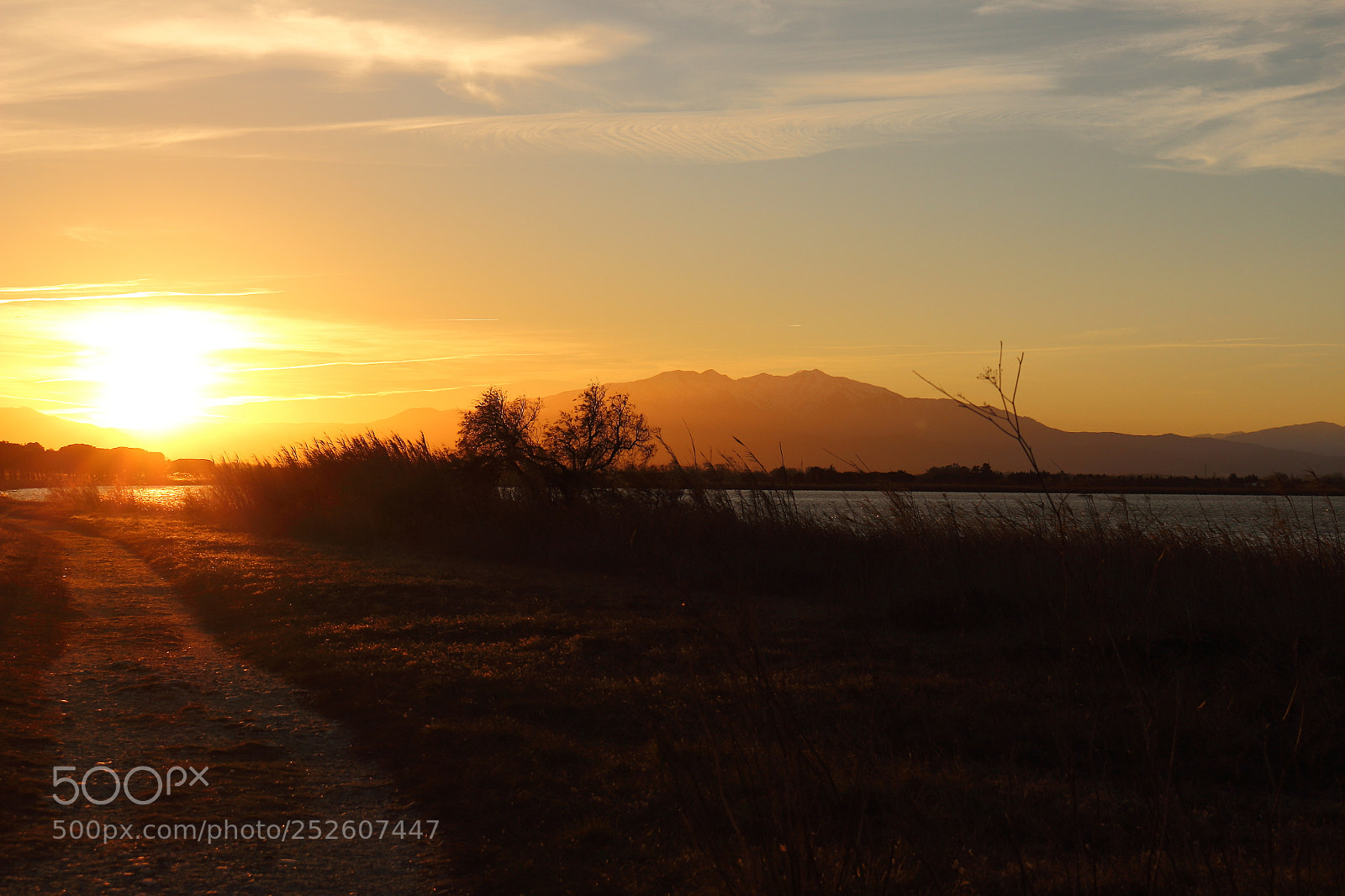 Canon EOS 700D (EOS Rebel T5i / EOS Kiss X7i) sample photo. Sunset path photography