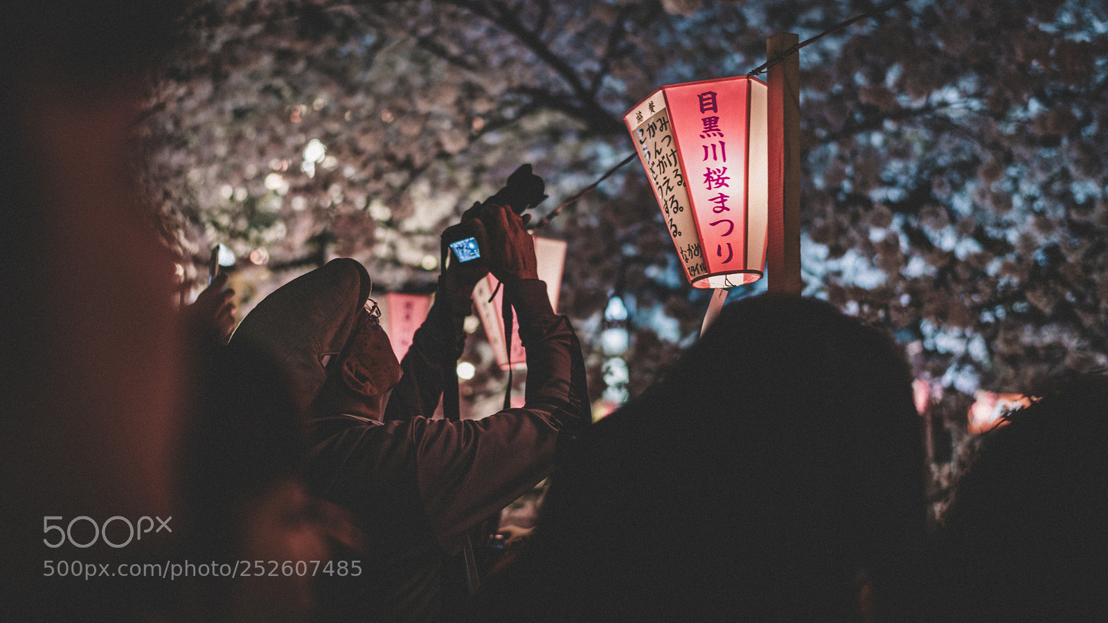 Sony a7R II sample photo. _dsc6992_2.jpg photography