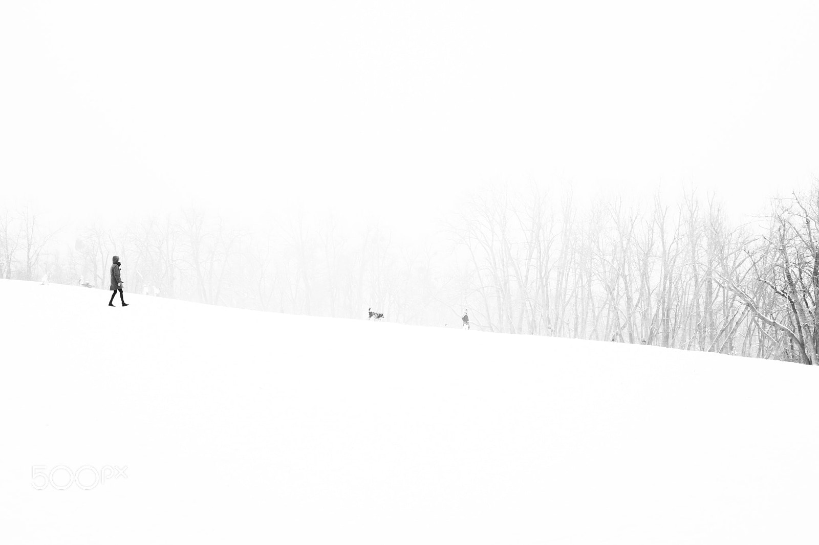 Sony Alpha NEX-7 sample photo. Normafa bw photography