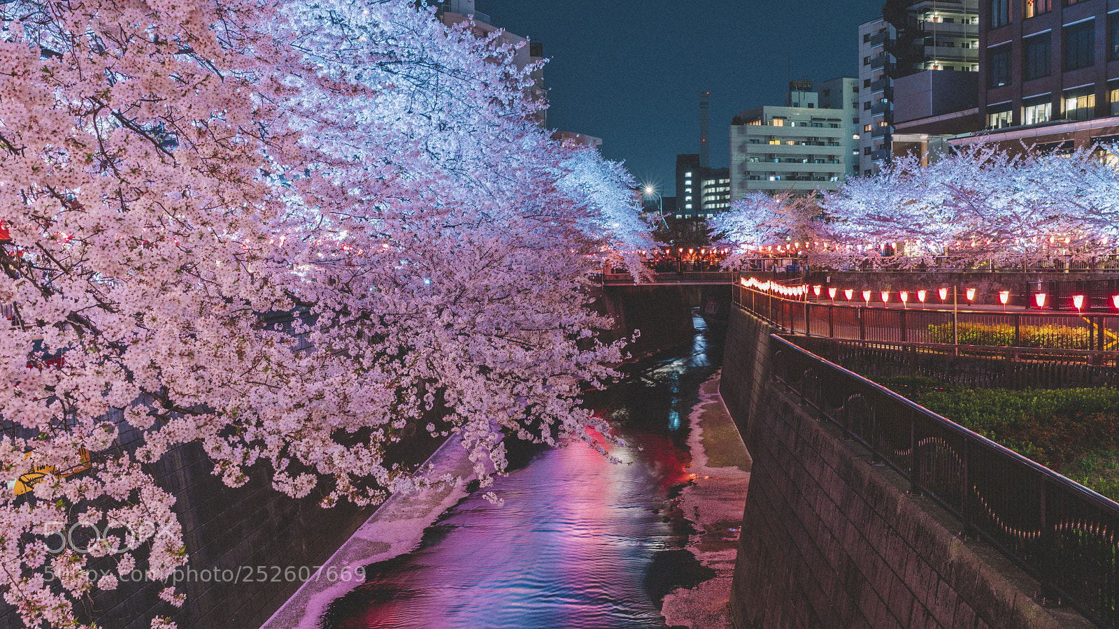 Sony a7R II sample photo. _dsc7001_9.jpg photography