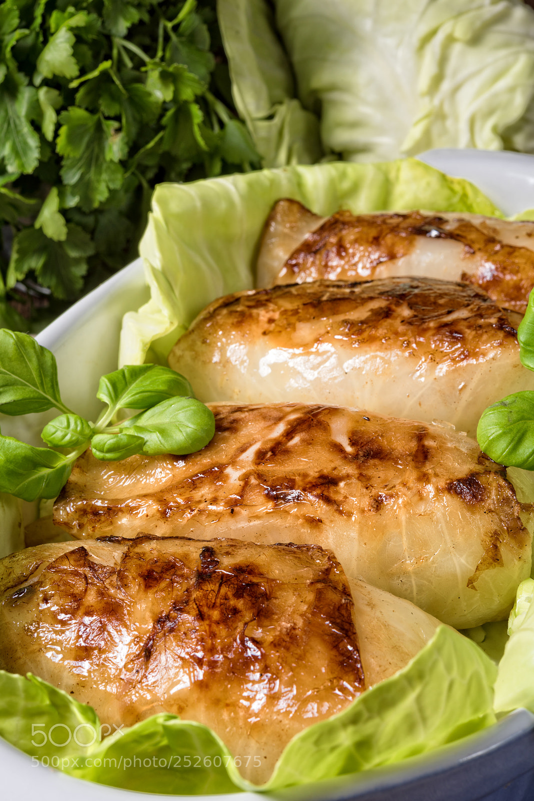 Nikon D810 sample photo. Cabbage rolls with minced photography