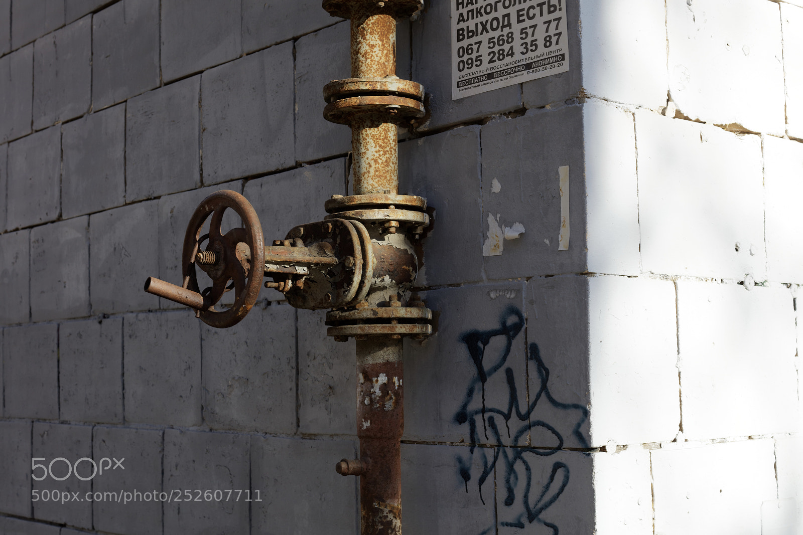 Canon EOS 5DS sample photo. Выход есть! photography
