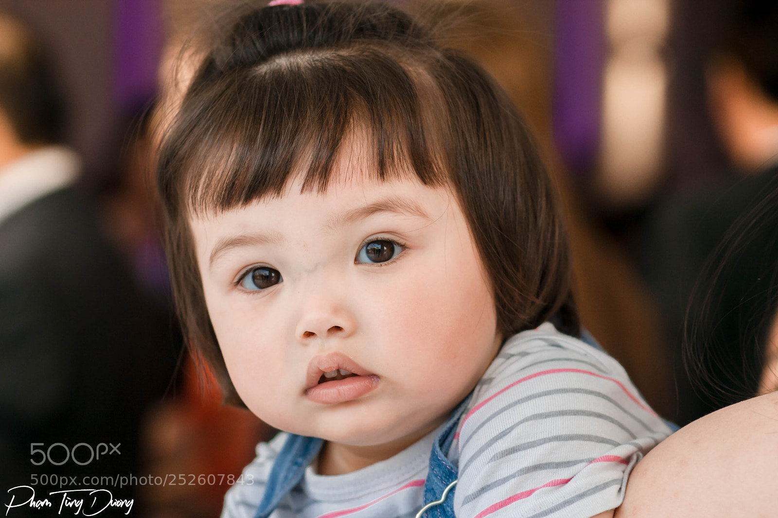 Canon EOS 40D sample photo. The look photography