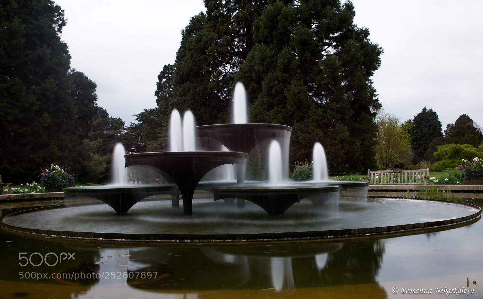 Nikon D7100 sample photo. Elixir photography