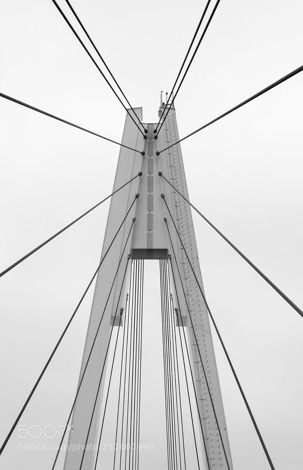 Nikon D5100 sample photo. Up and away photography