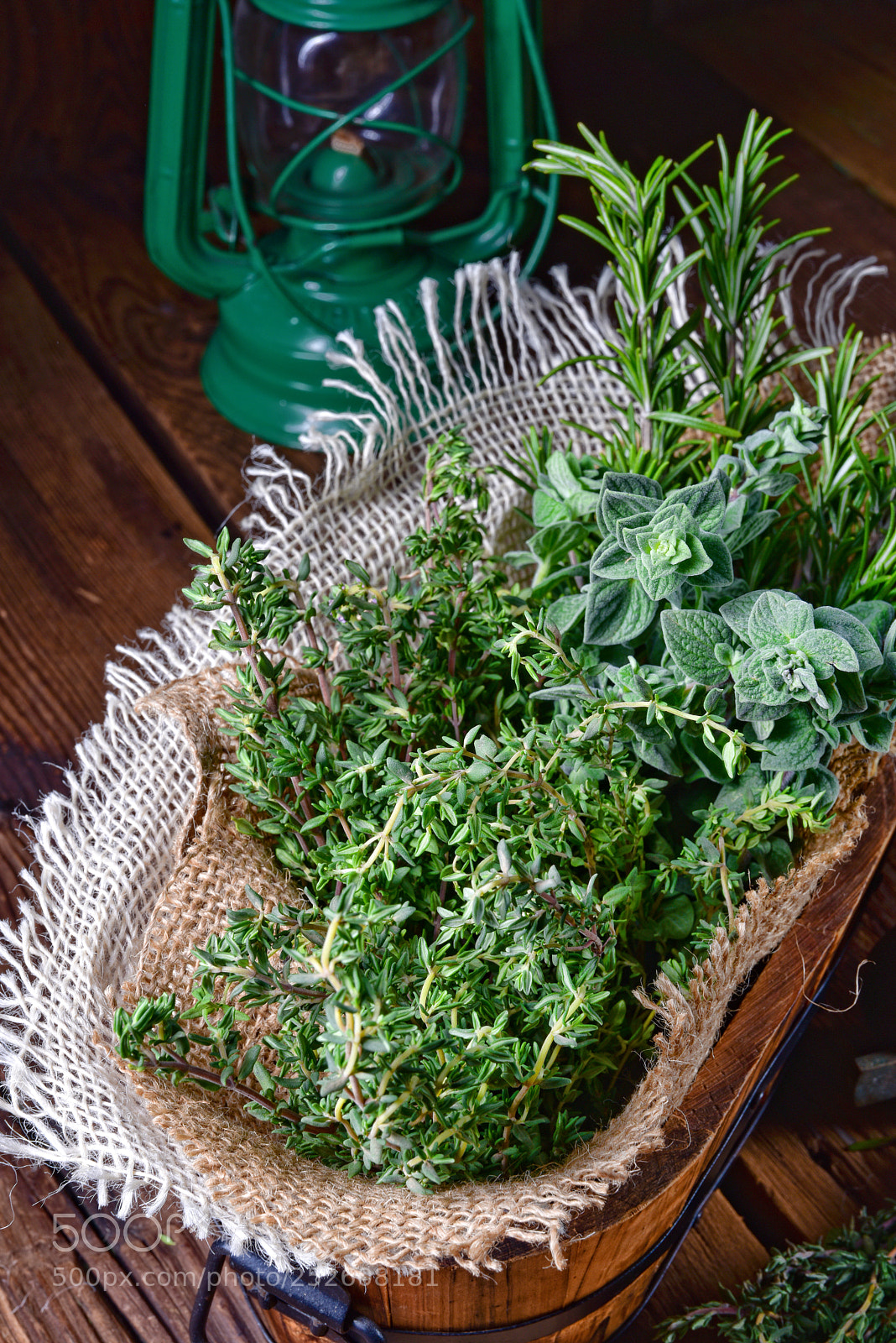 Nikon D810 sample photo. Herbal collection of thyme,oregano photography