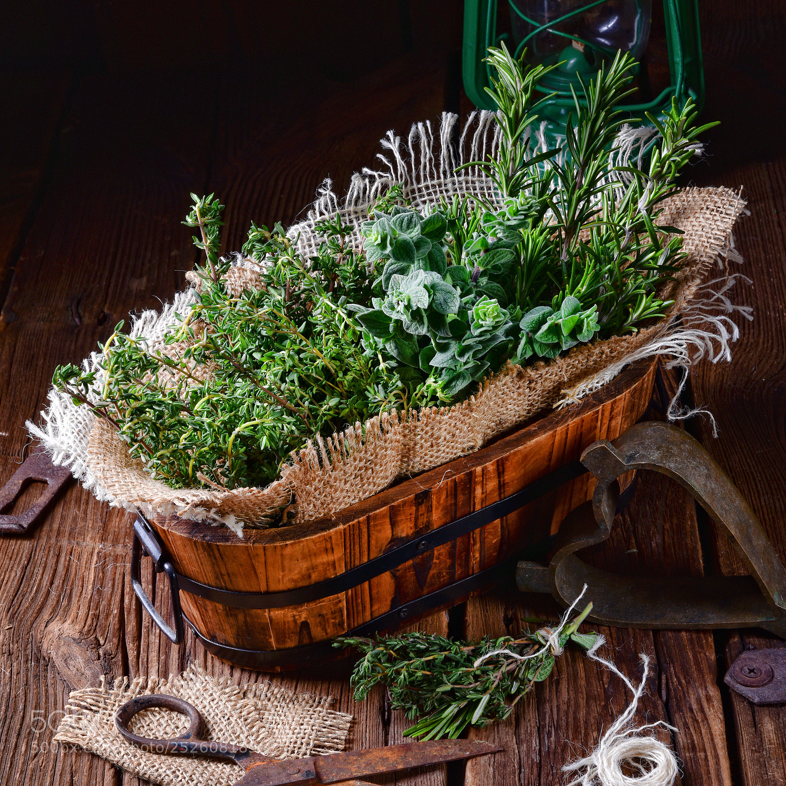 Nikon D810 sample photo. Herbal collection of thyme,oregano photography