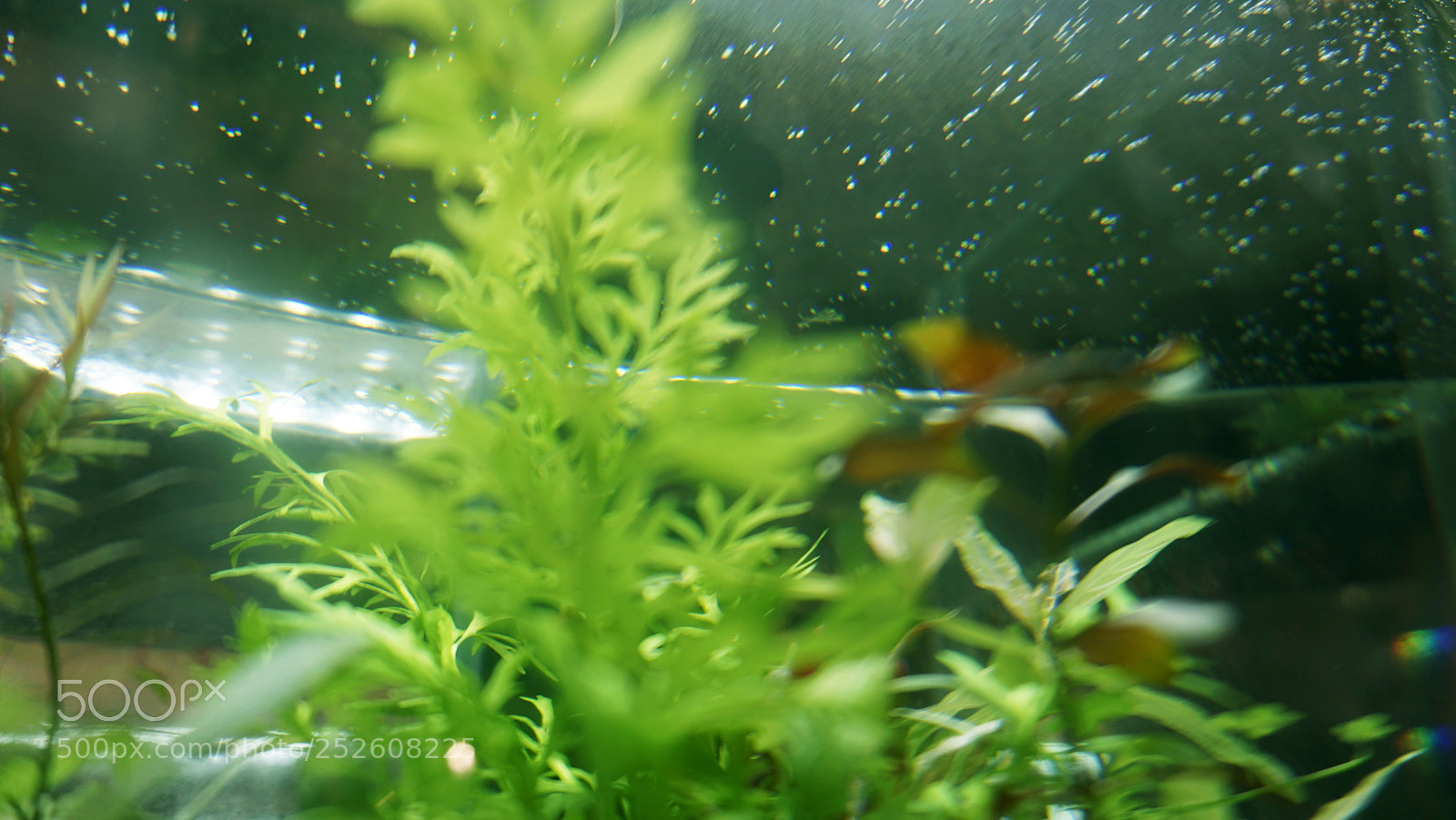 Sony a6000 sample photo. -& photography