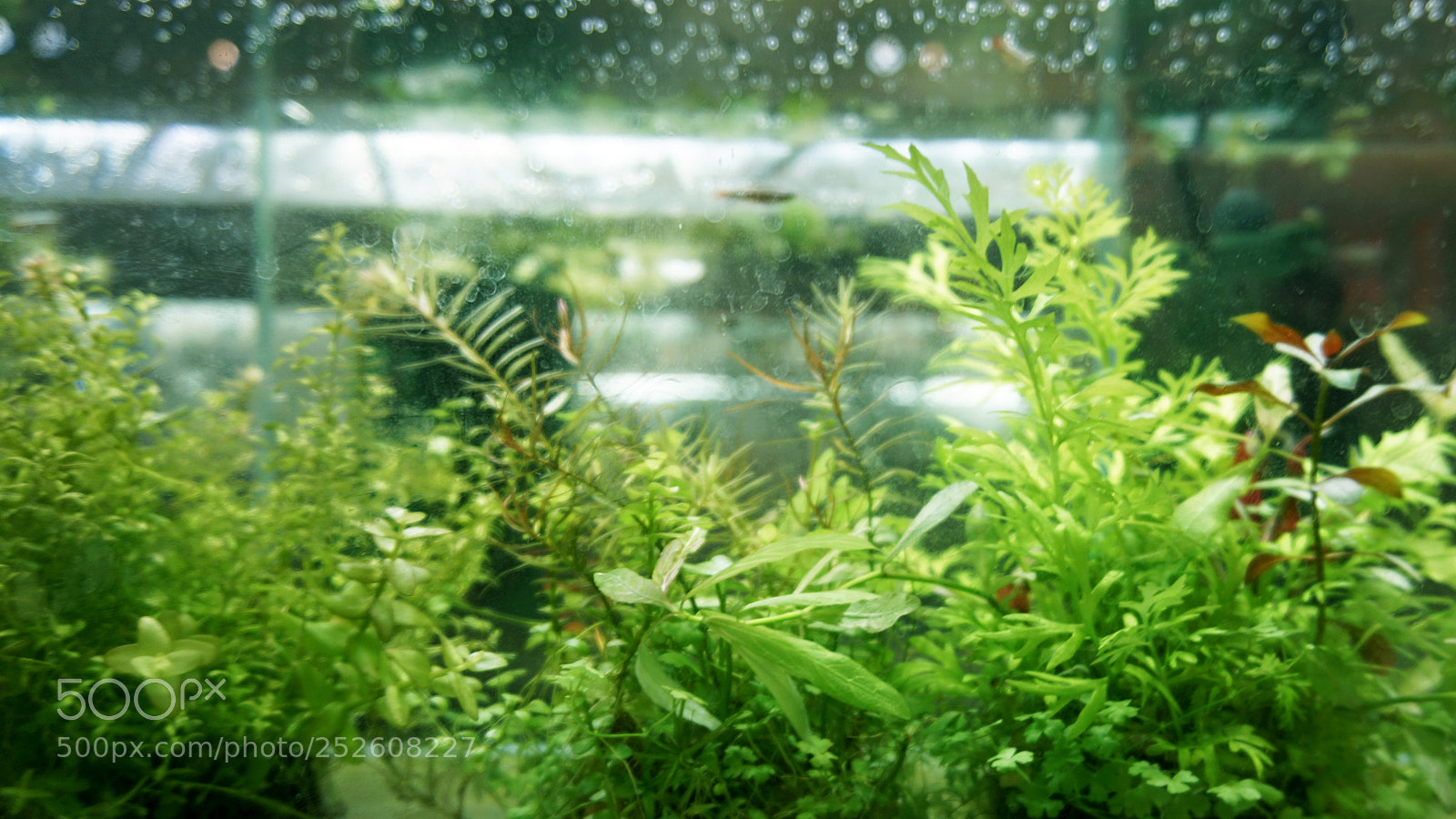 Sony a6000 sample photo. -& photography