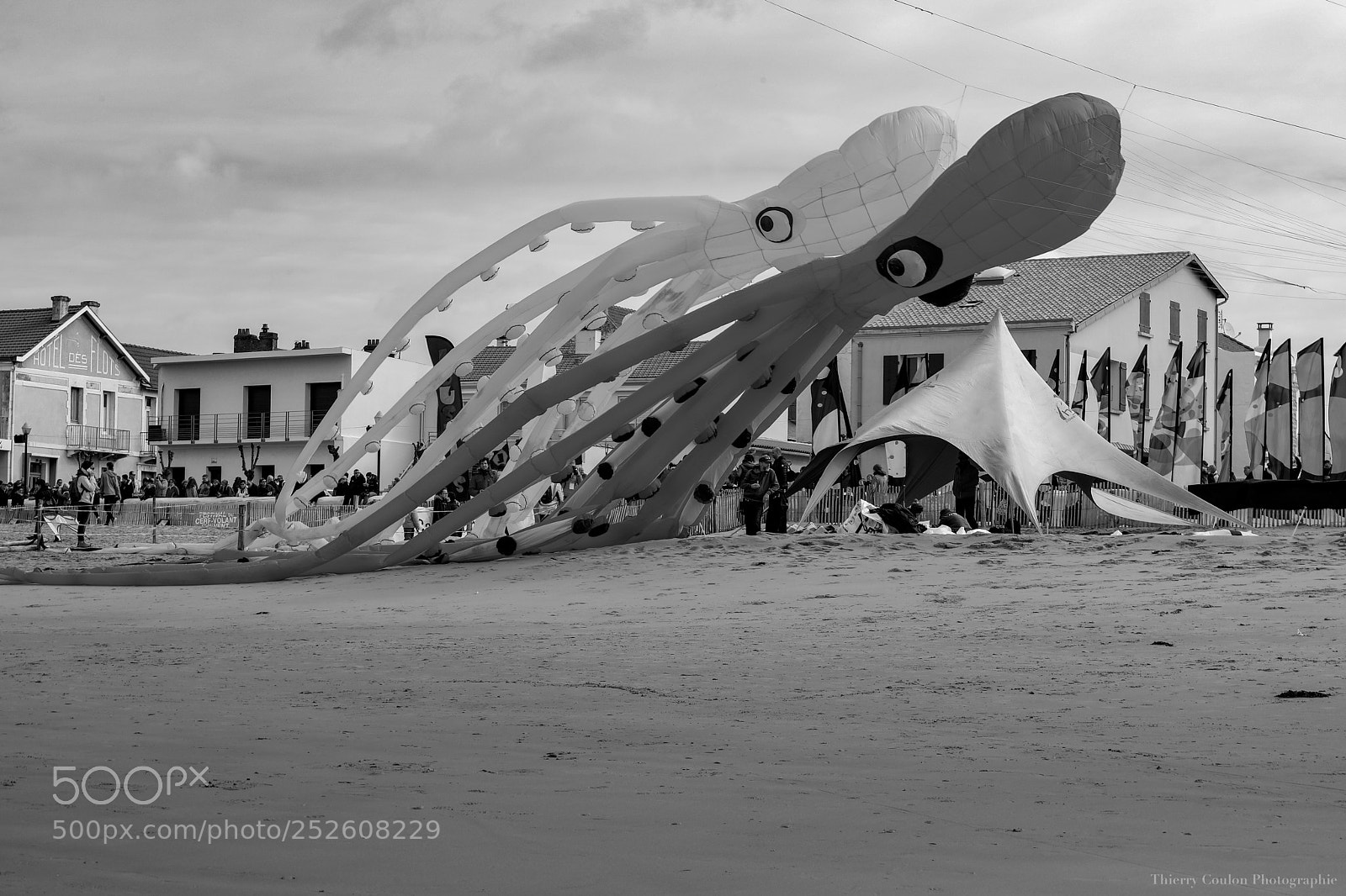 Canon EOS 5D Mark IV sample photo. Festival des pieuvres volantes 
 photography