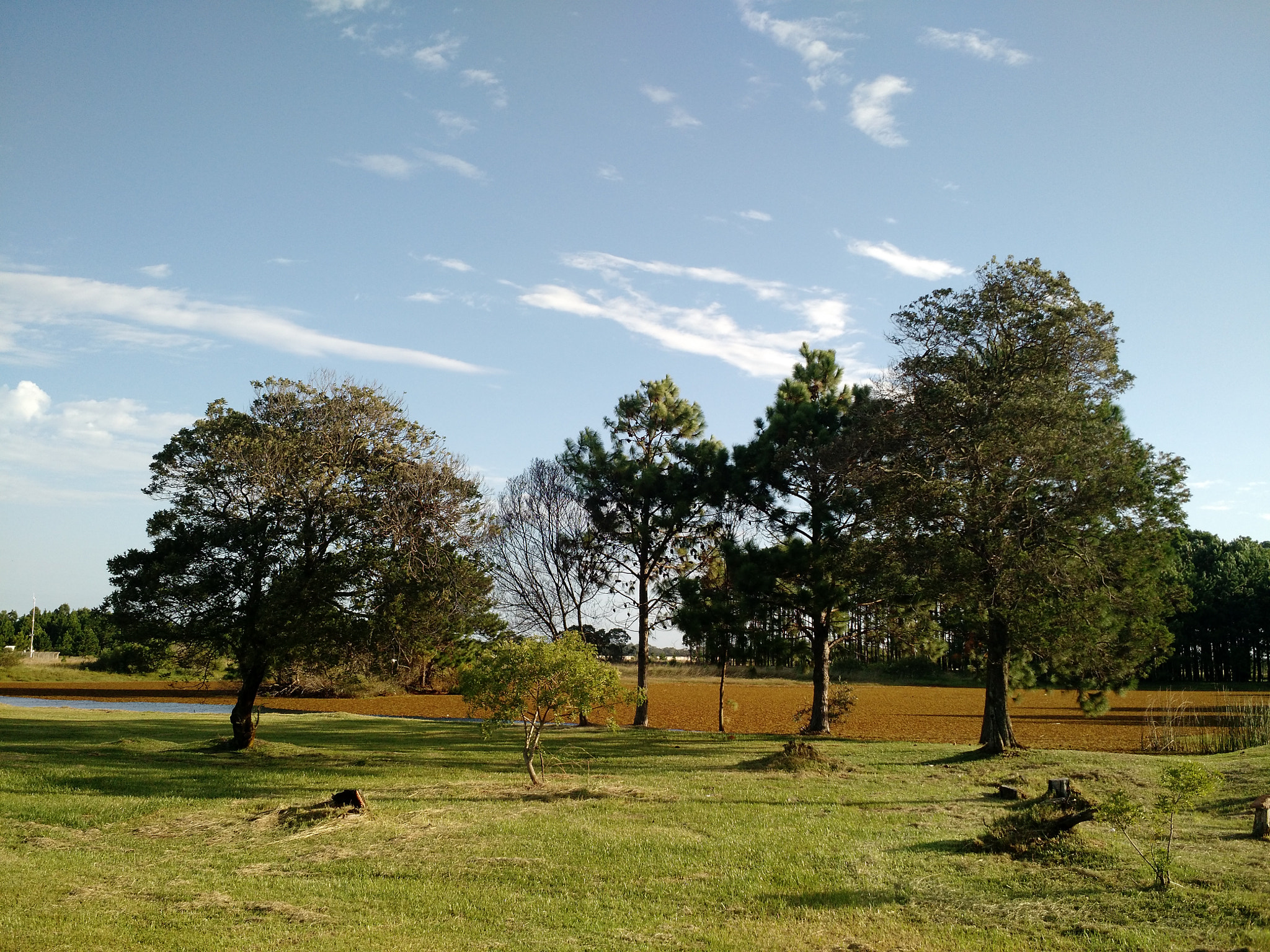 Motorola Moto X (2nd Gen) sample photo. The beauty of nature photography