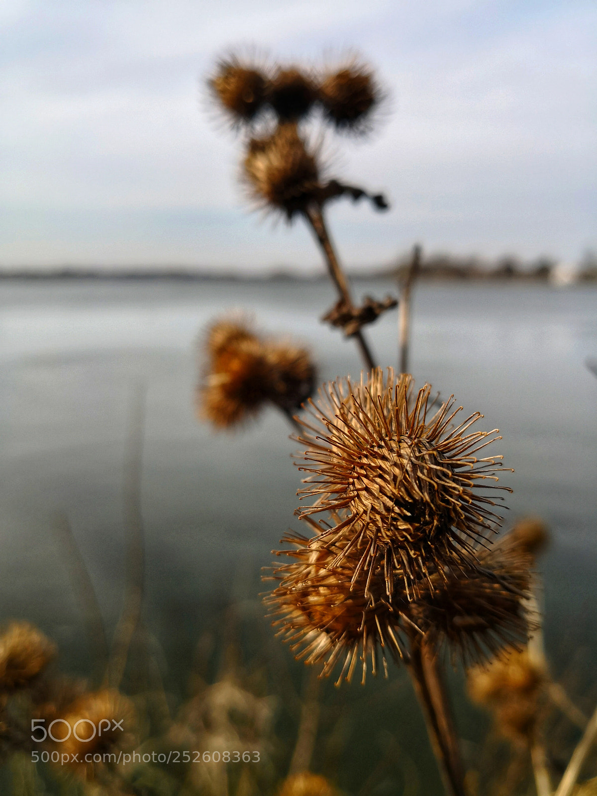 HUAWEI Mate 10 Pro sample photo. Untitled photography