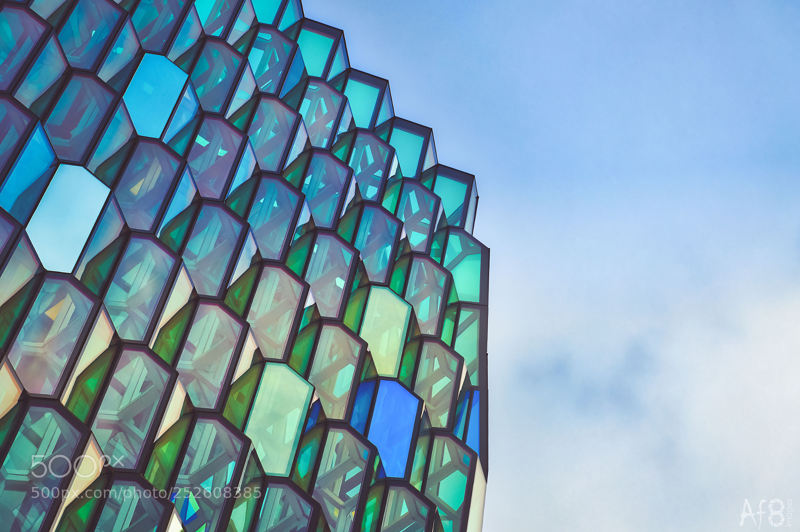 Nikon D850 sample photo. Tessellation photography