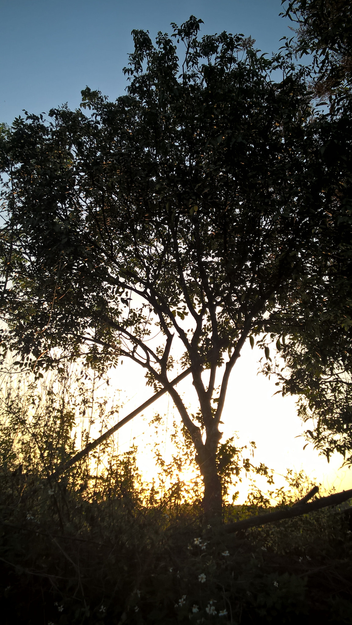 Nokia RM-984 sample photo. 10.jpg photography
