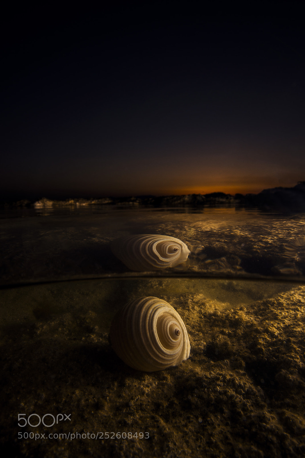 Nikon D800E sample photo. The golden sea photography