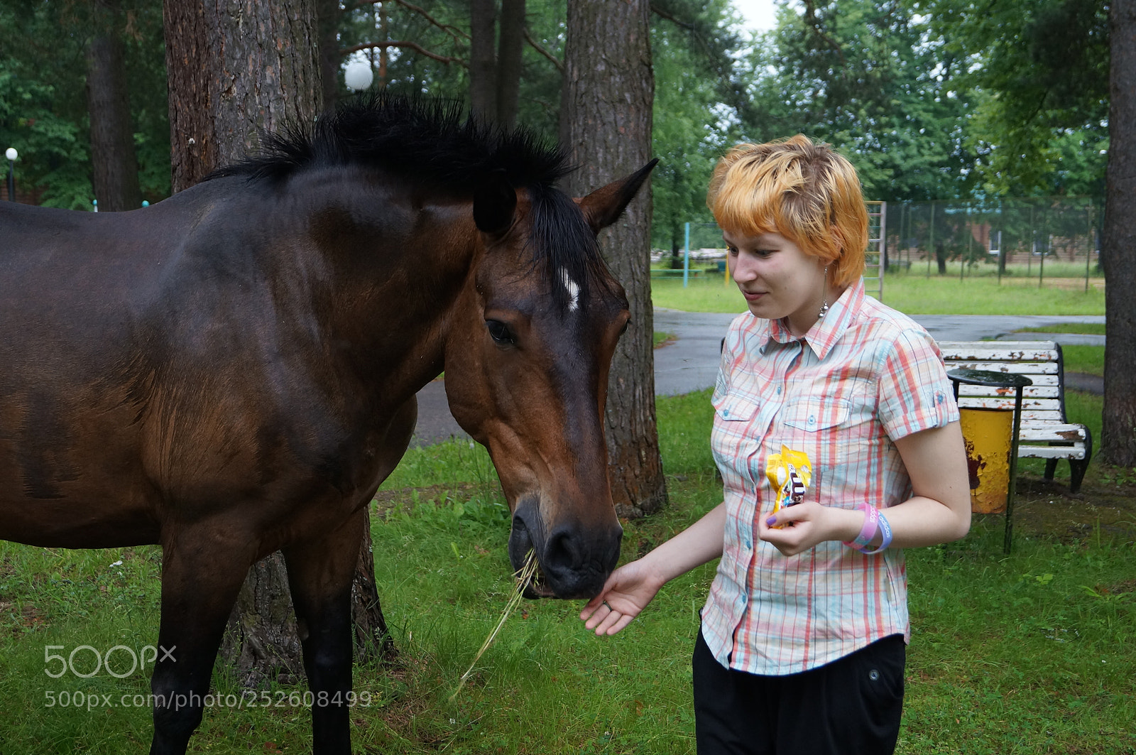 Sony SLT-A57 sample photo. Untitled photography