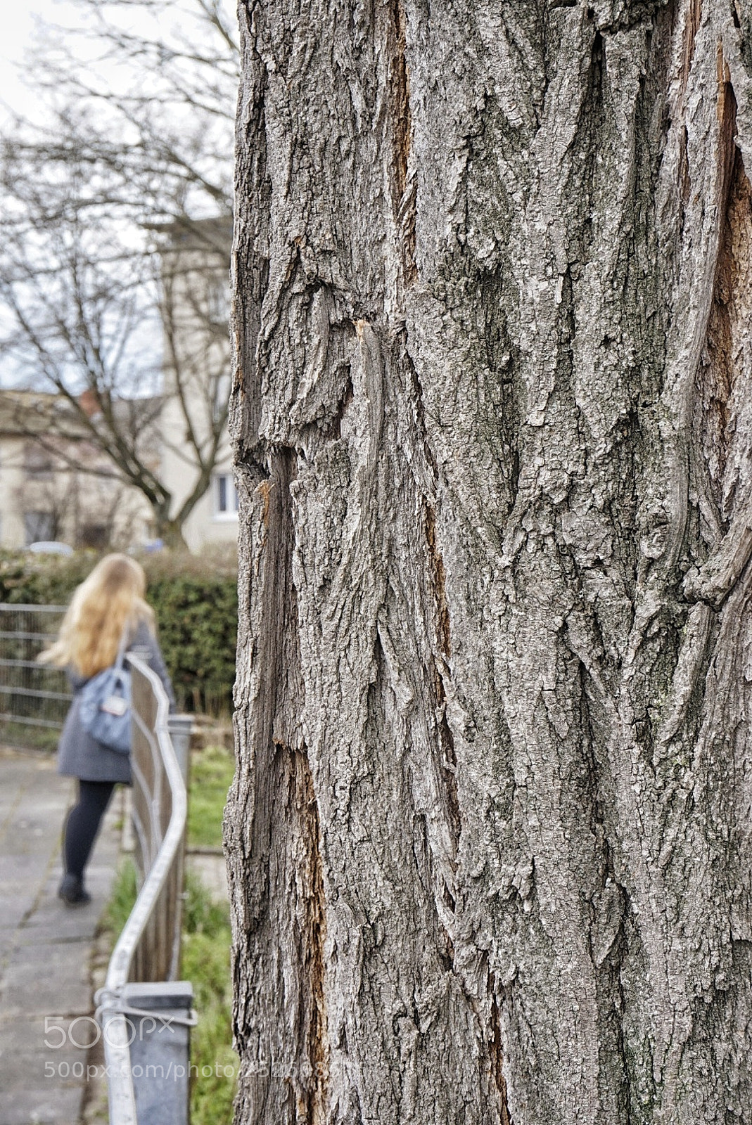 Sony Alpha a5000 (ILCE 5000) sample photo. Bark photography