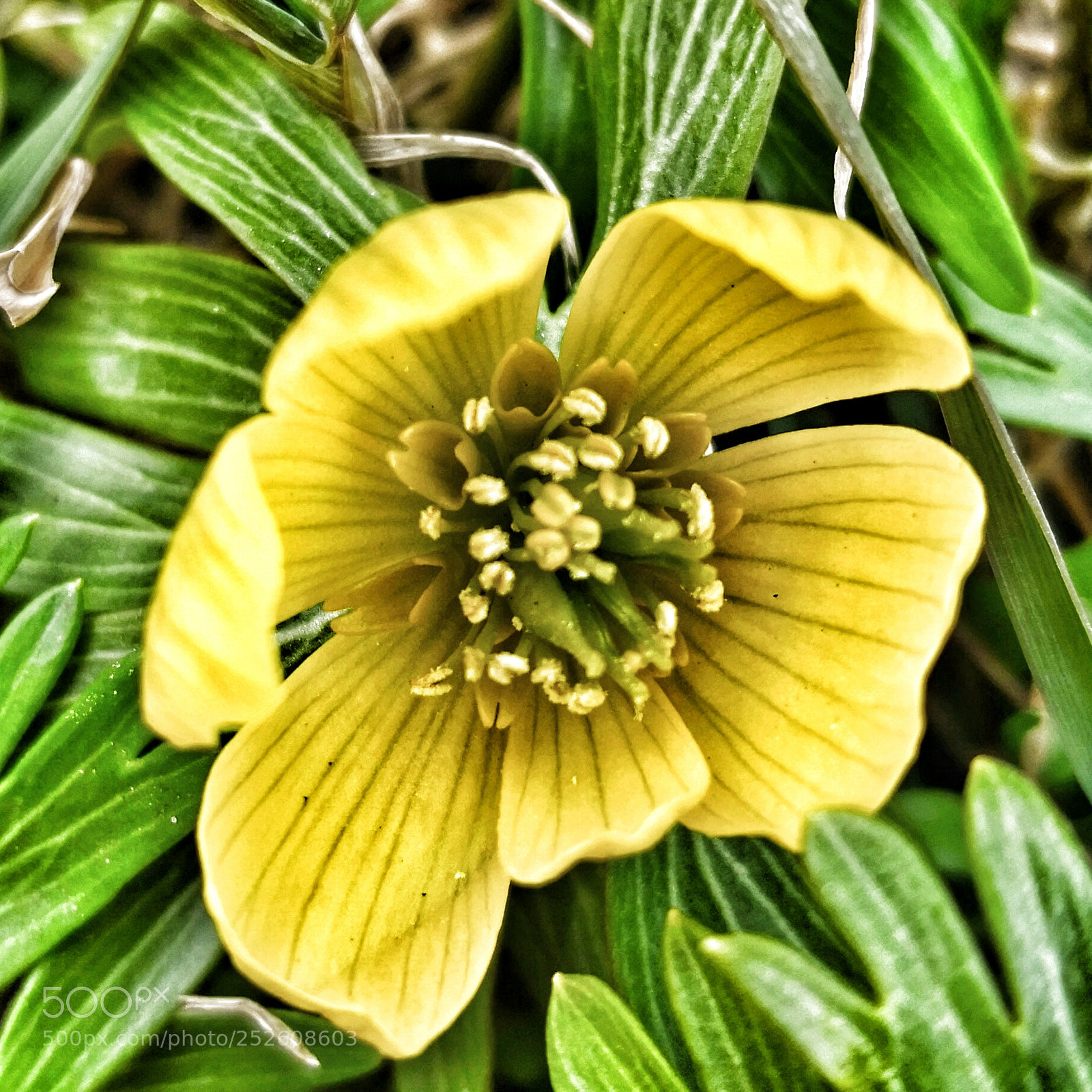 HUAWEI Mate 10 Pro sample photo. Untitled photography