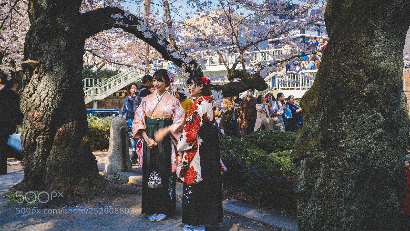 Sony a7R II sample photo. Kimono photography