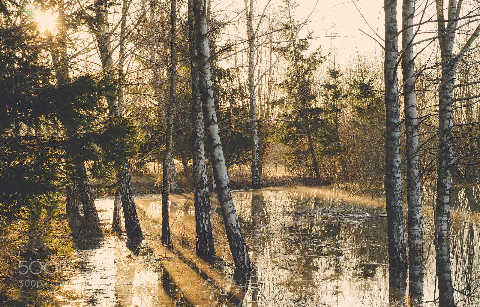Nikon D7000 sample photo. Light&shadows&fog photography