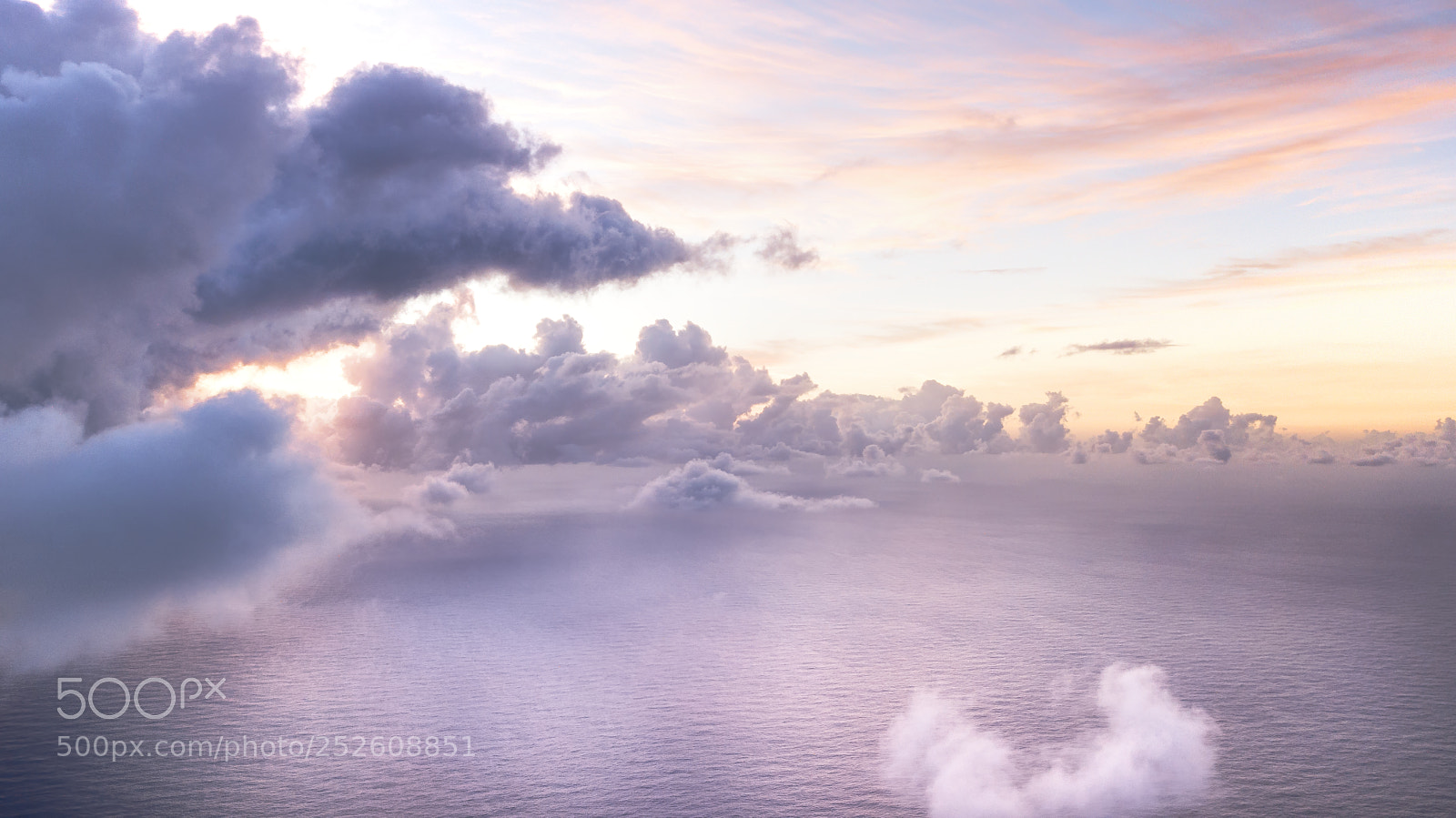 DJI FC220 sample photo. Reaching for the heavens photography