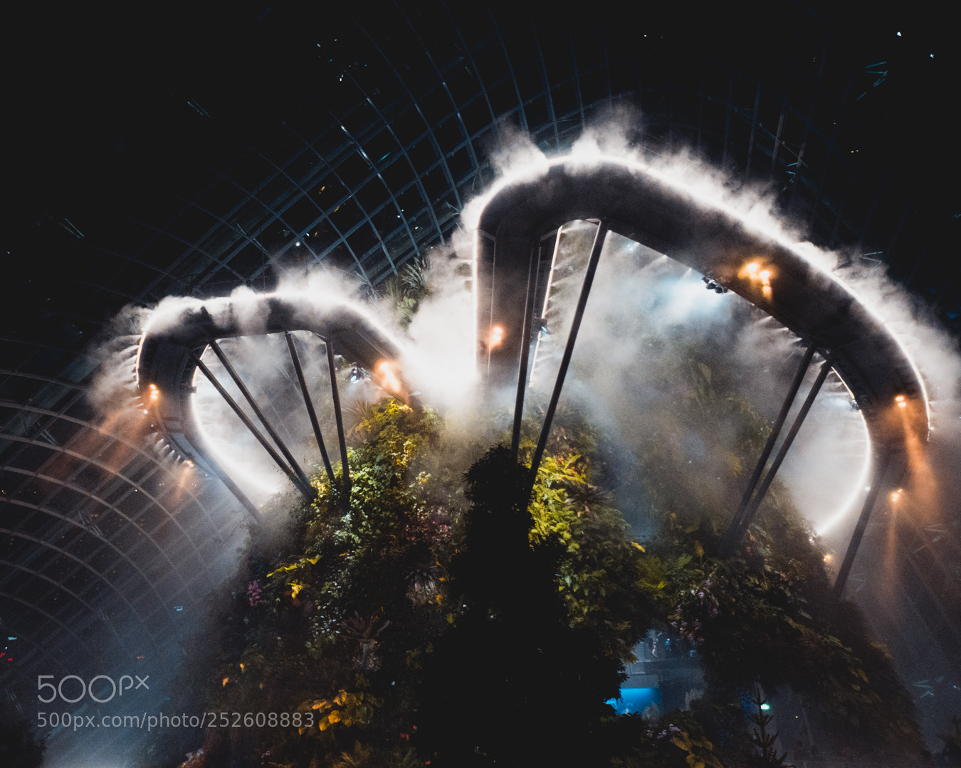 Sony a6500 sample photo. Cloud forest photography