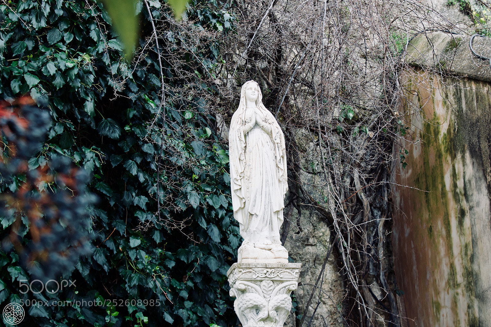 Canon EOS 1300D (EOS Rebel T6 / EOS Kiss X80) sample photo. Like a virgin photography