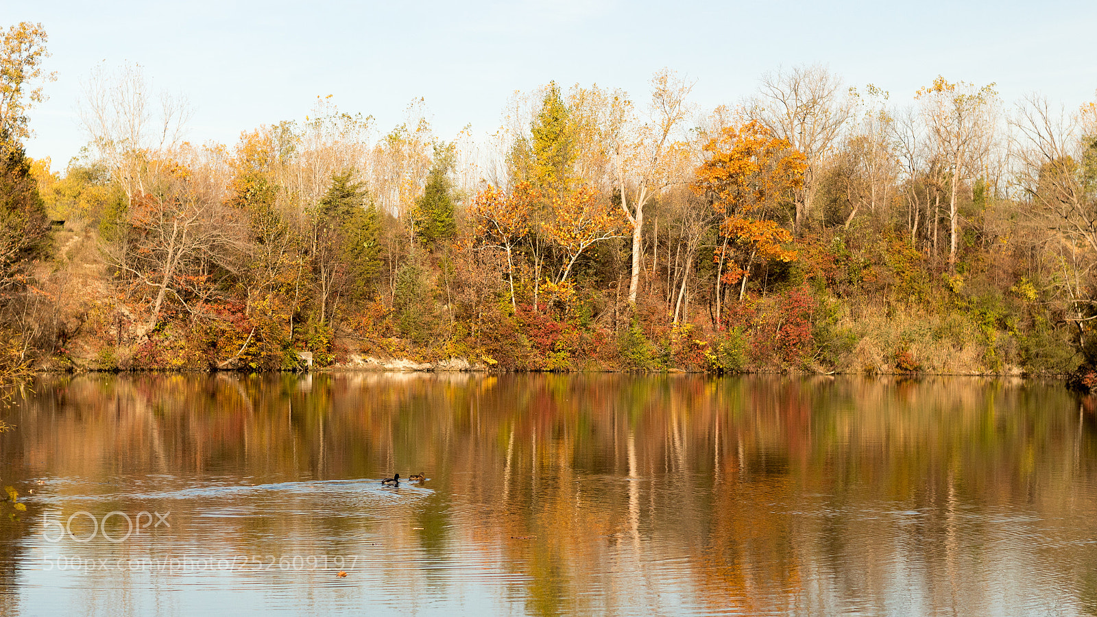 Canon EOS 1300D (EOS Rebel T6 / EOS Kiss X80) sample photo. Fall in michigan photography