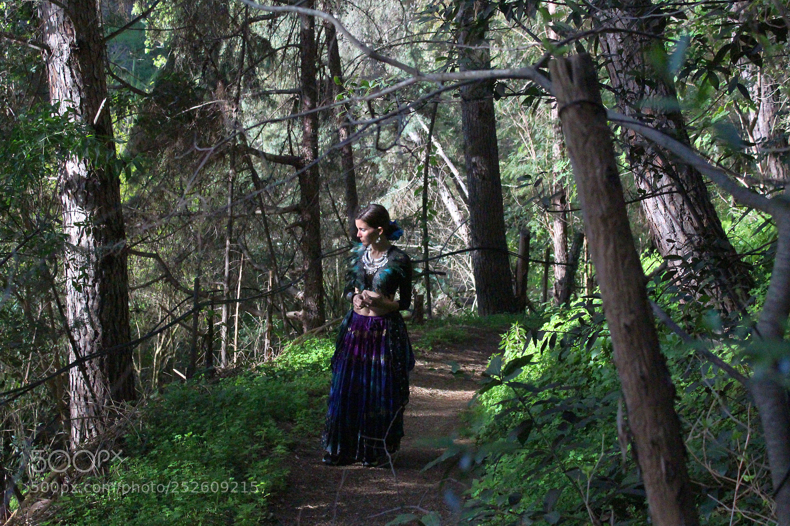 Canon EOS 700D (EOS Rebel T5i / EOS Kiss X7i) sample photo. Amaltea- forest photography