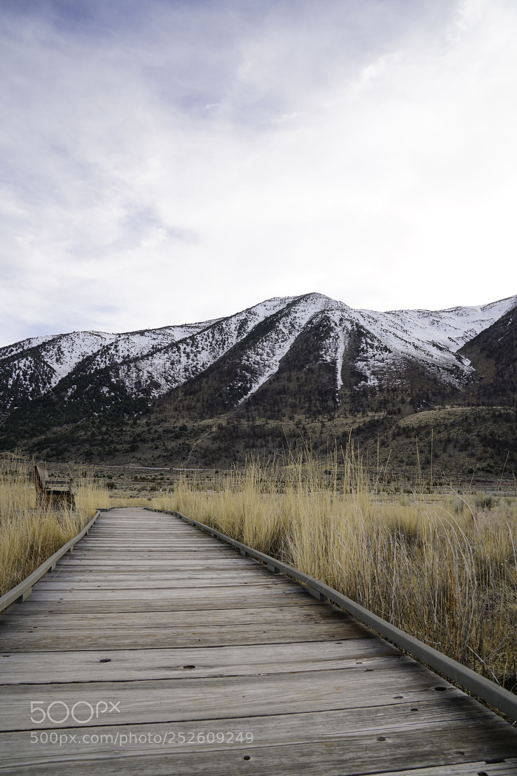 Sony a7R II sample photo. Untitled photography