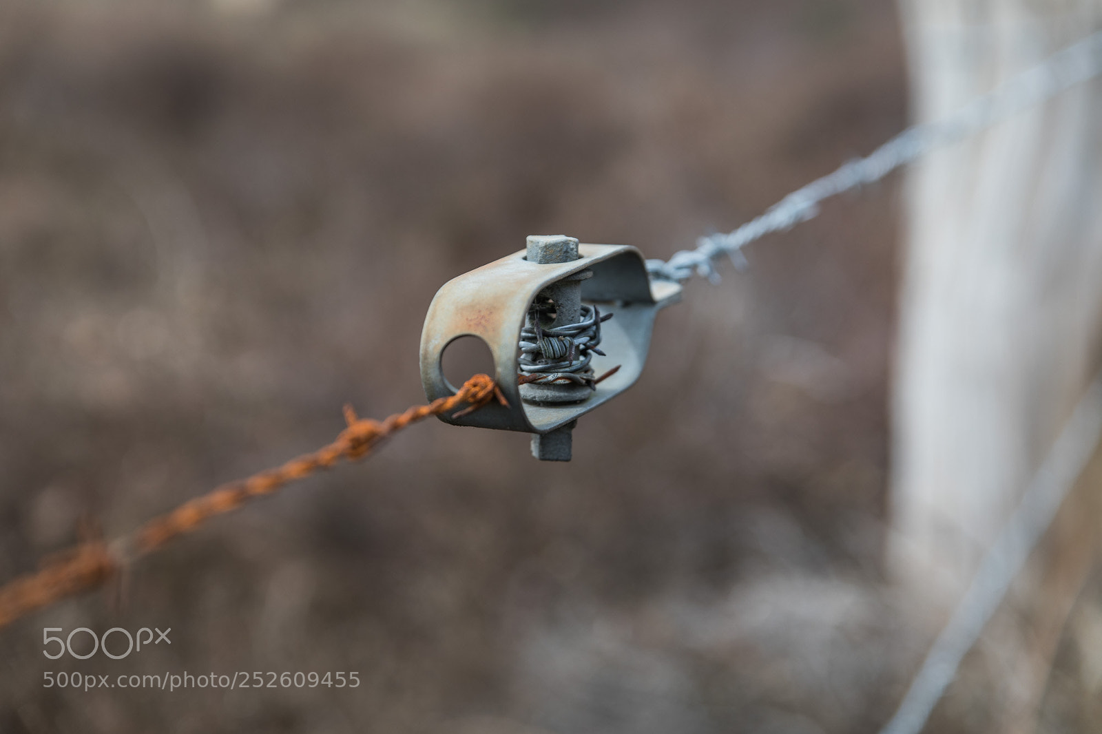 Canon EOS 5D Mark IV sample photo. Barbed wire photography
