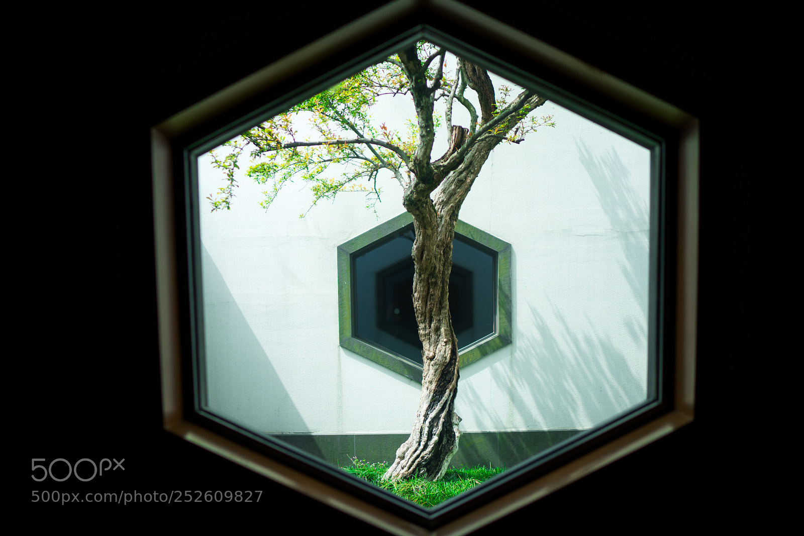 Sony a7R III sample photo. Untitled photography