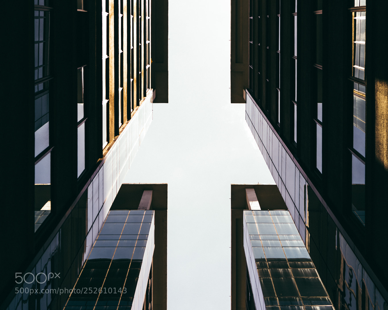 Sony a7 II sample photo. Look up. photography