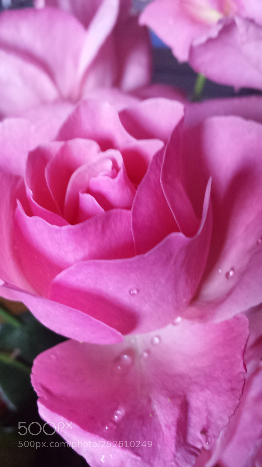 Samsung Galaxy S4 sample photo. Untitled photography