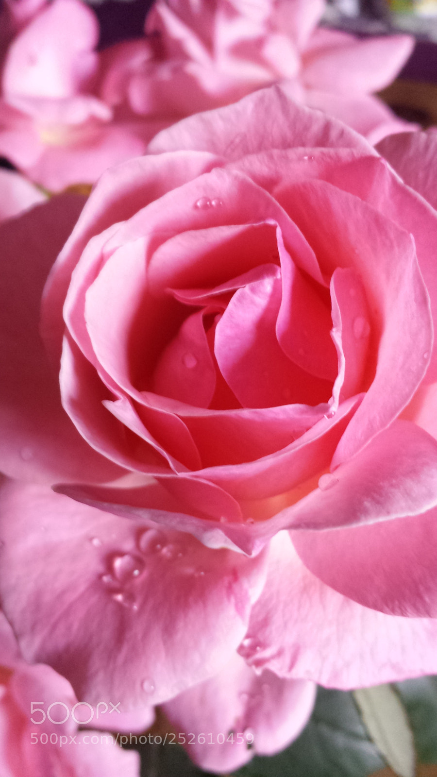 Samsung Galaxy S4 sample photo. Untitled photography