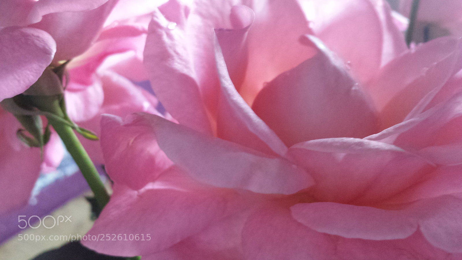 Samsung Galaxy S4 sample photo. Untitled photography