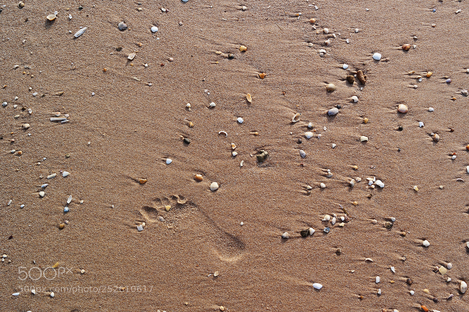 Samsung NX2000 sample photo. Untitled photography
