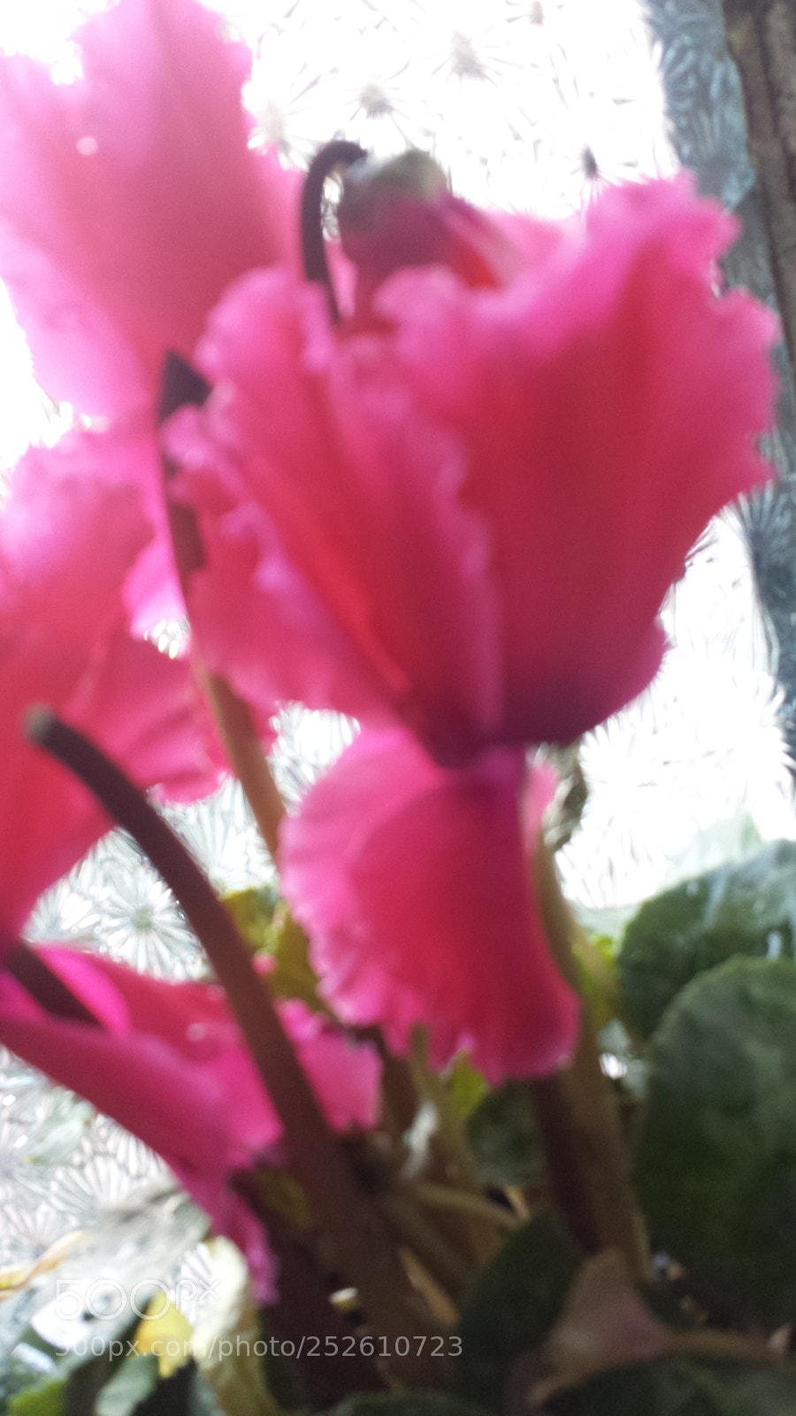 Samsung Galaxy S4 sample photo. Untitled photography