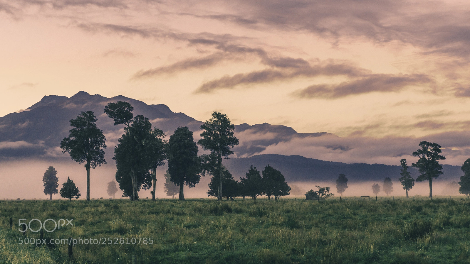 Sony ILCA-77M2 sample photo. Sunrise and morning mist photography