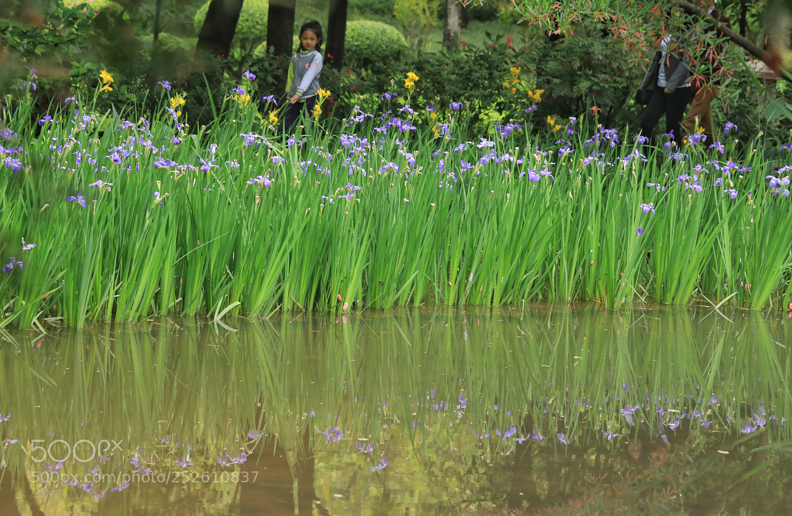 Canon EOS 5D Mark IV sample photo. Nature photography