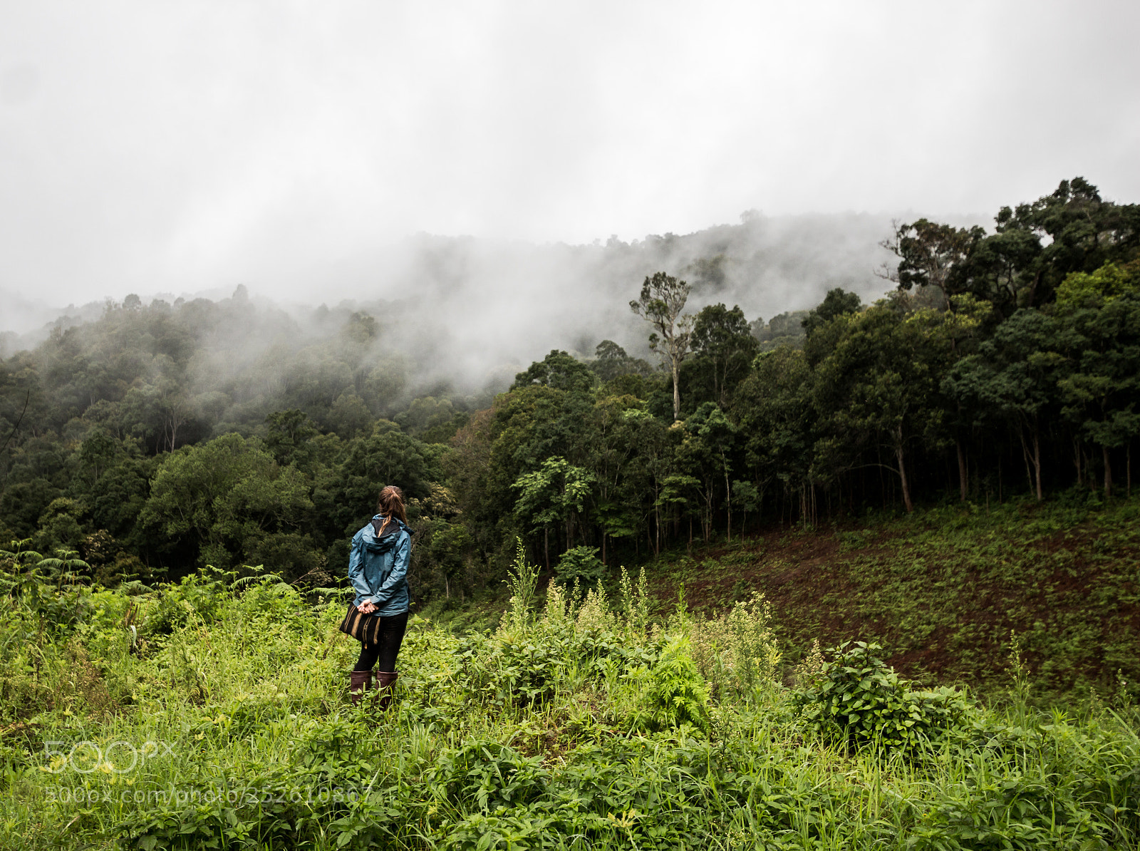 Canon EOS 70D sample photo. Foggy mountain photography