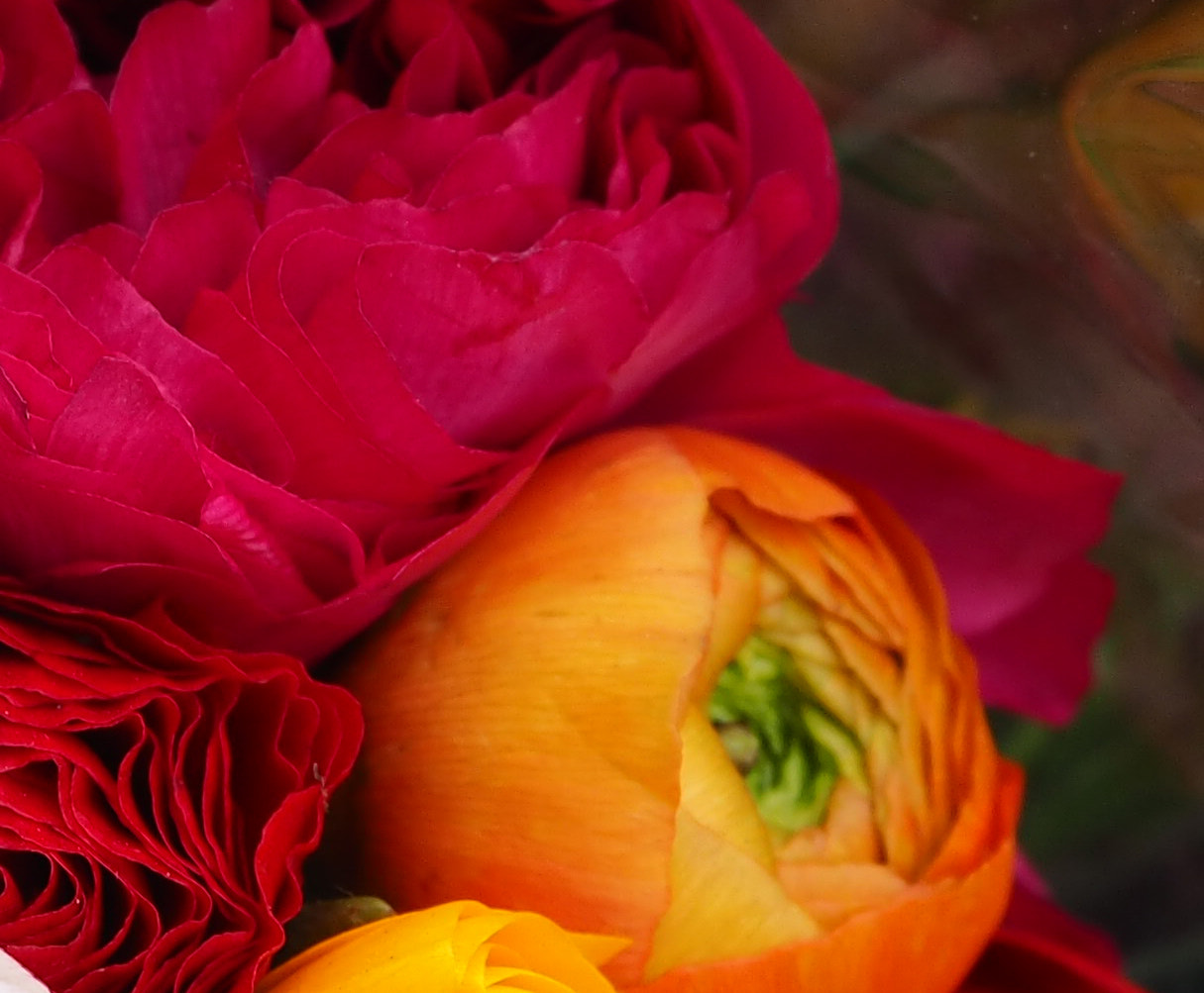 Olympus PEN E-PL8 sample photo. Luscious photography