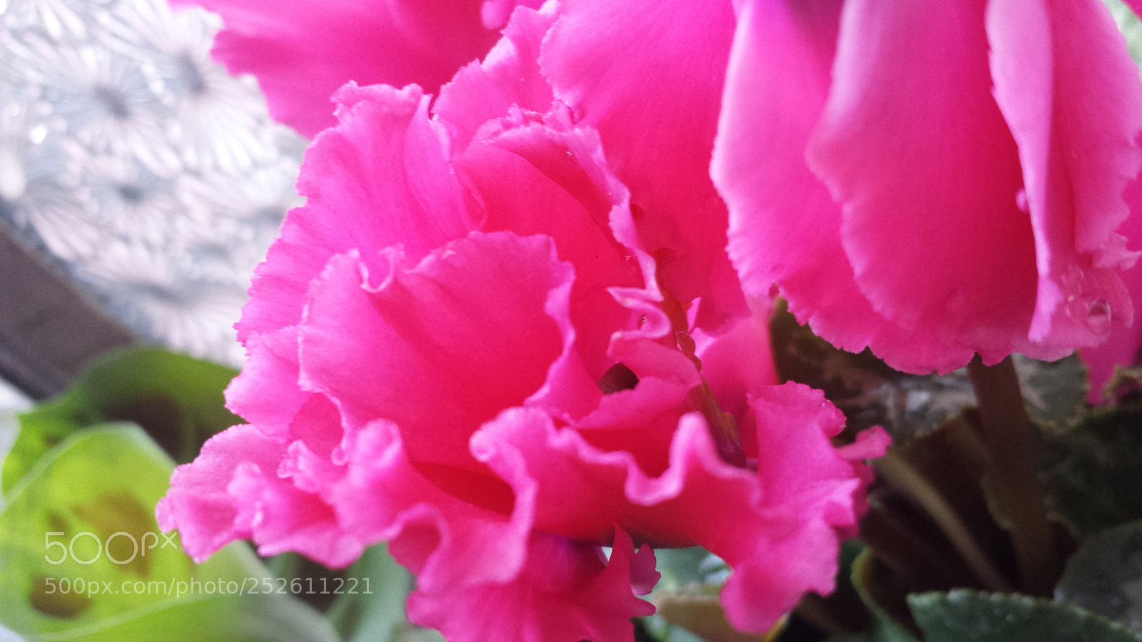 Samsung Galaxy S4 sample photo. Untitled photography