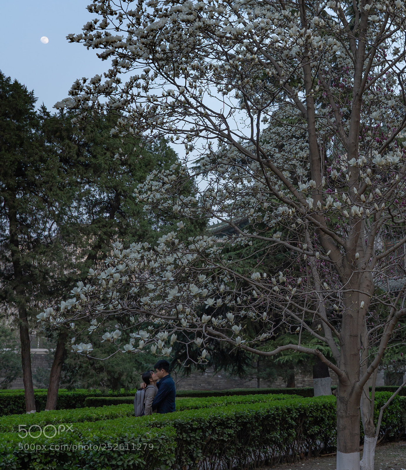 Sony a7 III sample photo. Beijing, 2018 photography