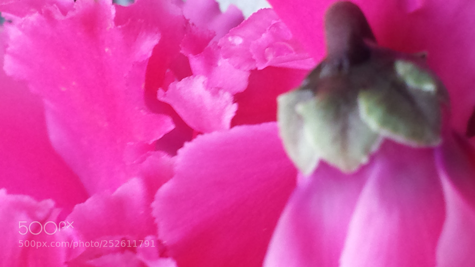 Samsung Galaxy S4 sample photo. Untitled photography
