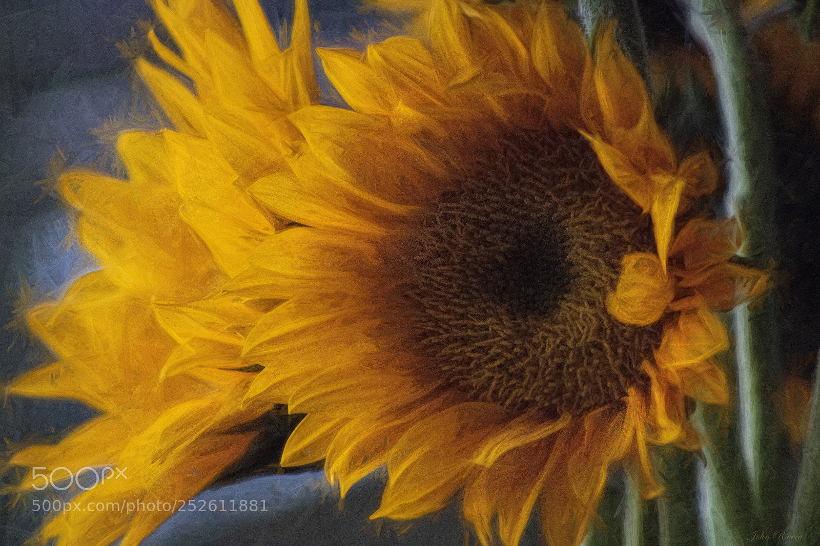 Canon EOS 760D (EOS Rebel T6s / EOS 8000D) sample photo. Screaming yellow photography