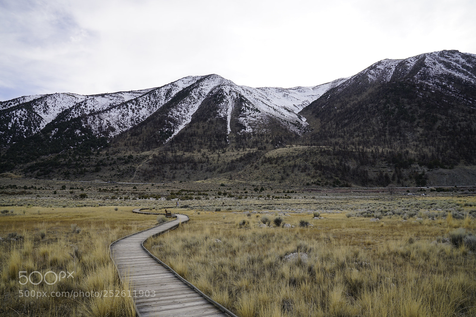 Sony a7R II sample photo. Untitled photography